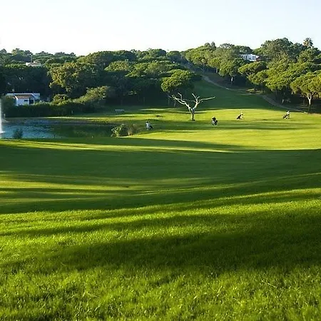 Apartment Sunny Lounge *